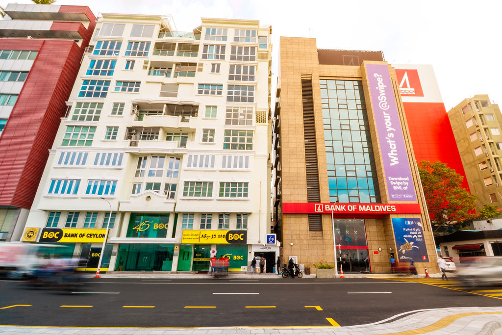 Supporting Investor Returns: MSD’s Role as Paying Agent